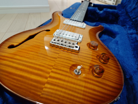 PRS DGT Semi-Hollow Limited Edition 2024