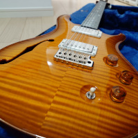 PRS DGT Semi-Hollow Limited 2024